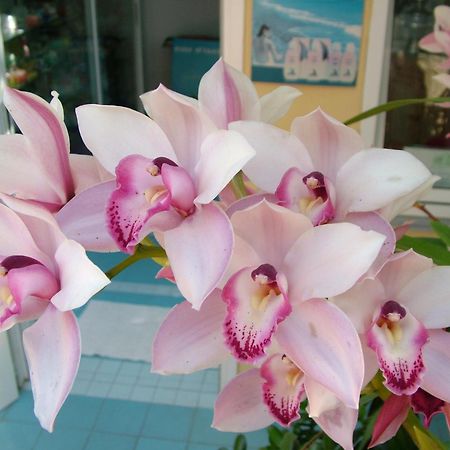 Hotel Giardino Delle Ninfe E La Fenice Иския Екстериор снимка